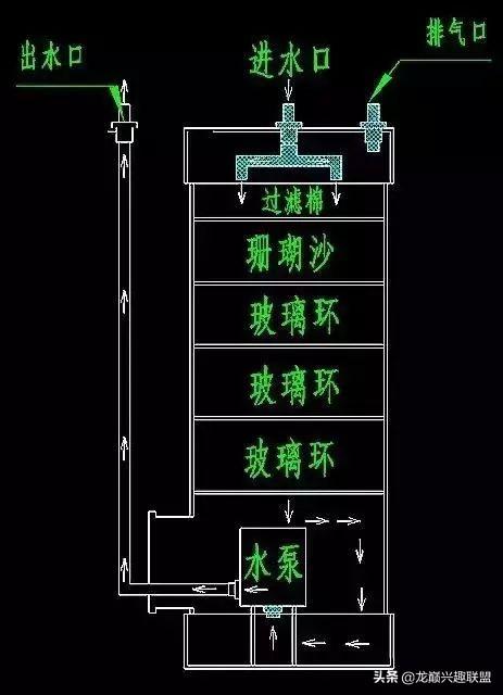 谁说养鱼穷三年？今天就让你低成本养好罗汉鱼！DIY走起……