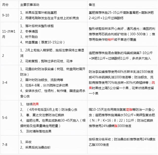 厚强果苗青脆李栽培管理及技术要点