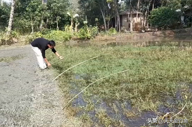 这种钓法最适合懒人，不会钓鱼，也能渔获满满