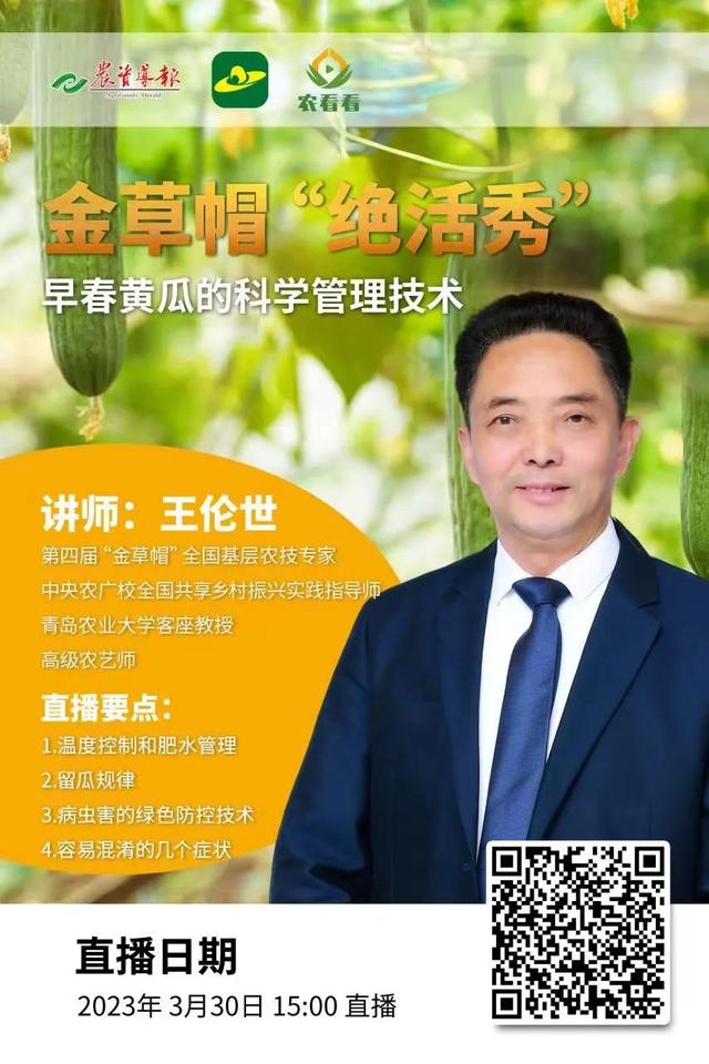 早春黄瓜怎么管理？技术要点来了（附直播回放）