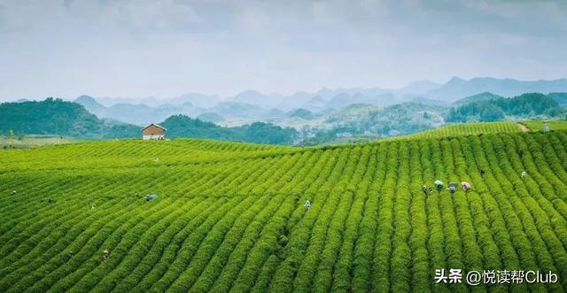 享受美妙慢生活，快去安顺这些地方来一场精致的露营