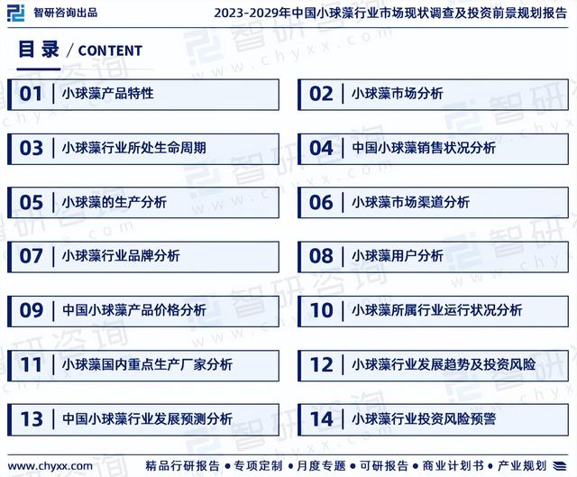 2023年小球藻行业发展现状、市场前景及投资方向报告