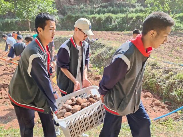 从生态农庄到社会实践教育基地 栖凤谷生态农场的“蝶变”之路