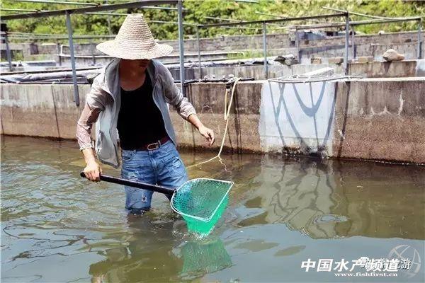 赛车与养鱼有啥关系？附淡水石斑鱼养殖技术