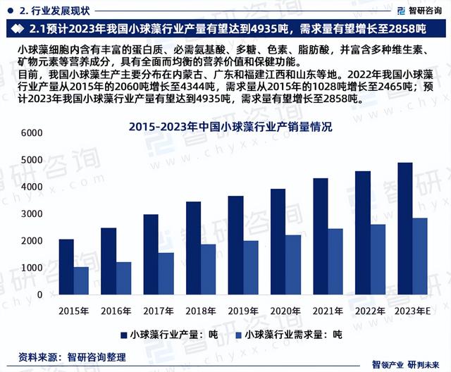 2023年小球藻行业发展现状、市场前景及投资方向报告