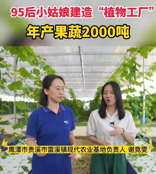 95后姑娘建占地43亩“植物工厂”，1亩发挥5亩效益，年产20000吨