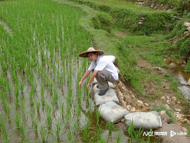 西部计划20年，1.4万名广东青年奔赴祖国最需要的地方