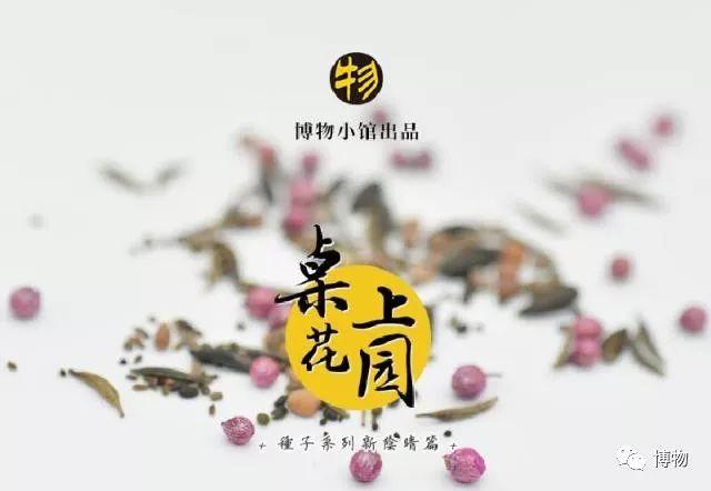 桌上花园｜种子种植说明