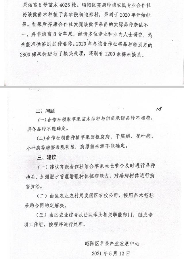 苹果苗木种了3年发现品种不符，昭通昭阳农户向区农投公司索赔陷僵局