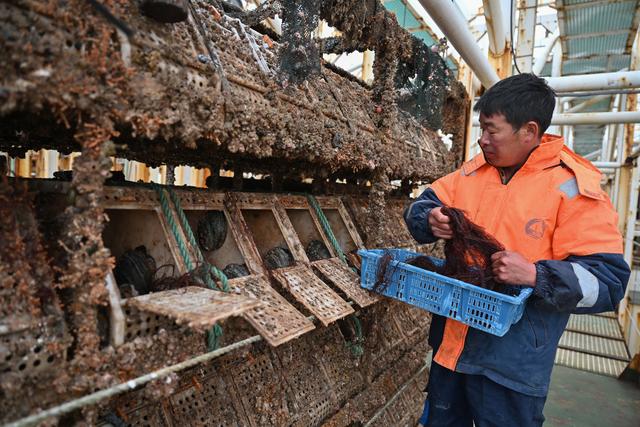 （经济）福建连江：探索鲍鱼深远海养殖模式