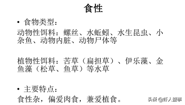 小龙虾养殖，7成养殖户都不知道的投喂知识！做好产量翻番