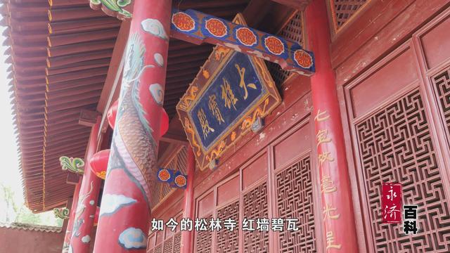 「永济百科」松林寺白皮松