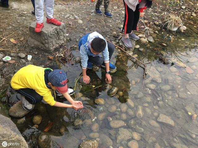 蝌蚪养殖对用水的管理和控制水温，这2个方面就能控制疾病多与少