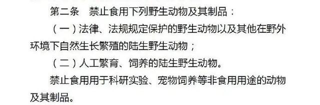 我国首个禁食猫狗的法案通过了！深圳，你真棒！