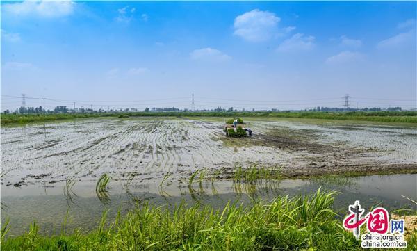 江苏睢宁：生态循环下的乡村振兴 大地的诗和远方