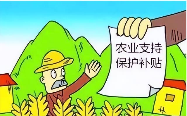 农民朋友注意了！粮补新方案已在路上，快来看看都有哪些补贴？