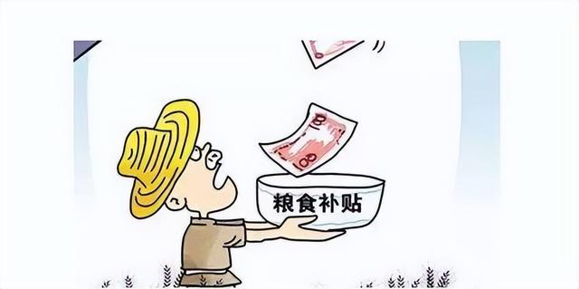 农民朋友注意了！粮补新方案已在路上，快来看看都有哪些补贴？