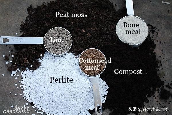 养月季用哪种土种最好？花钱的和不花钱的你任选一个