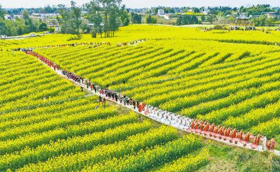 香村田园多彩马灌，努力走好乡村振兴路