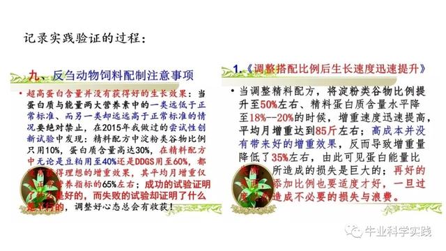 《中国实践肉牛饲养技术标准》的价值与意义