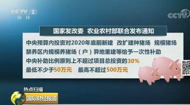 驻马店人要养猪吗？国家给钱、用地……最高补助500万