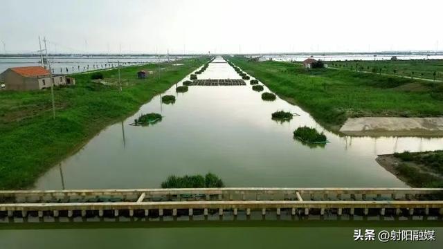 射阳：绘就生态养殖“新图景”，打造渔业高质量发展“样板”