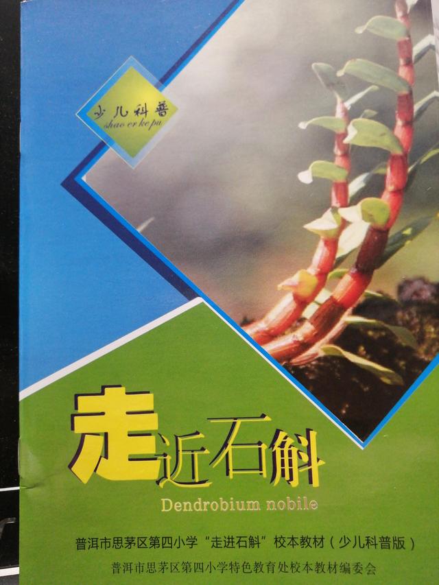 普洱名片一一石斛