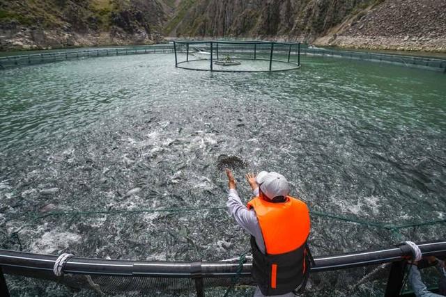 “离海最远”的新疆，这里的土地可以养海鲜，新疆是怎么做到的？