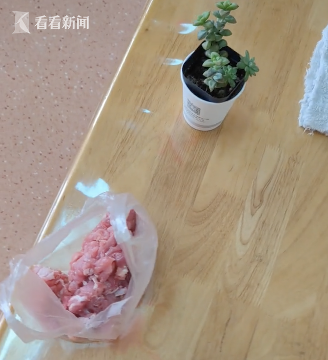 幼儿园老师让小朋友带多肉 孩子拎来一袋猪肉