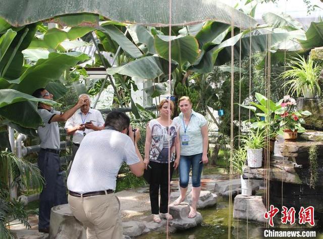 露天种植会否成为新疆南果北种新方式？