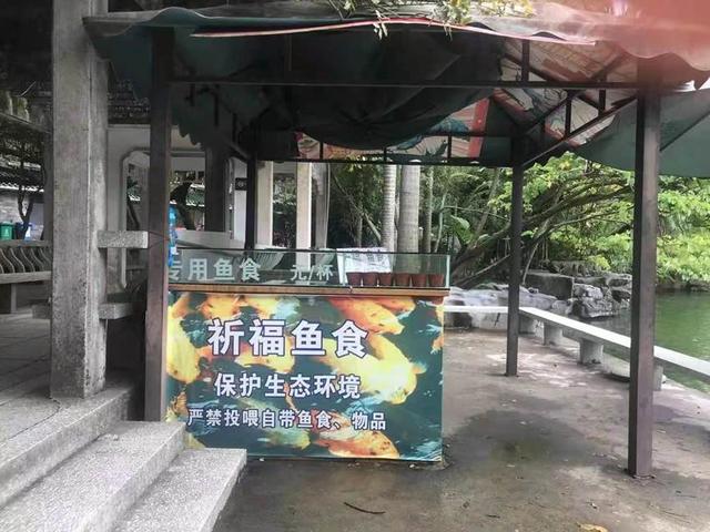 好消息！南宁市青秀山景区的喂金鱼点招租，每年仅54万元起