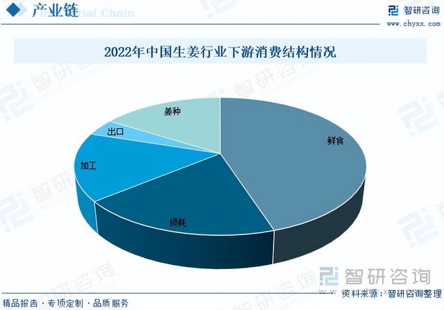 干货分享！2023年中国生姜市场发展概况及未来投资前景预测分析