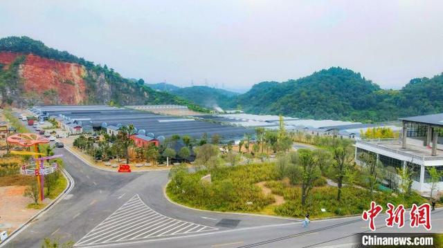 湖北宜昌牛扎坪村：“荒石包”上开出“致富花”