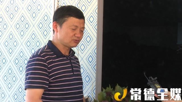 临澧：贫困村种紫苏，每亩利润约5000元