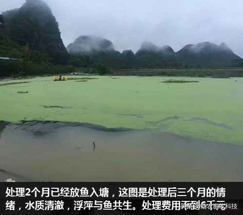 短时间处理掉养殖场大量废水（粪水）技术，不需设施投入