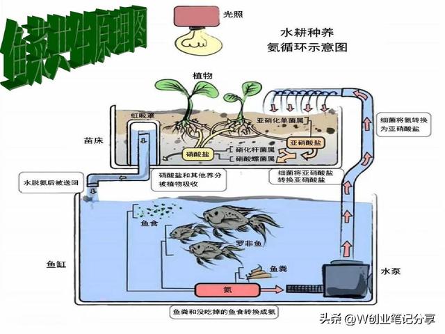 2023年养殖创业普遍的模式，你都了解过吗？