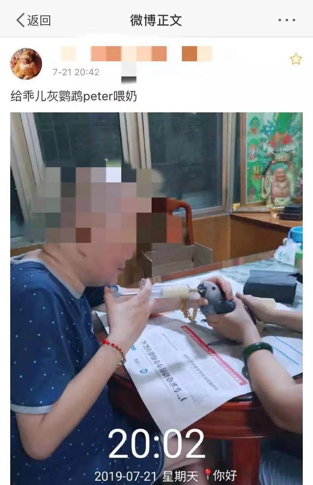 这种鹦鹉不能随便养！深圳一女子微博晒养“爱宠”被举报