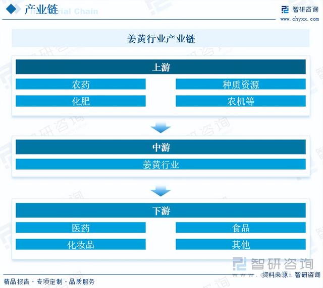 收藏！一文看懂姜黄行业发展现状及未来市场前景（智研咨询发布）