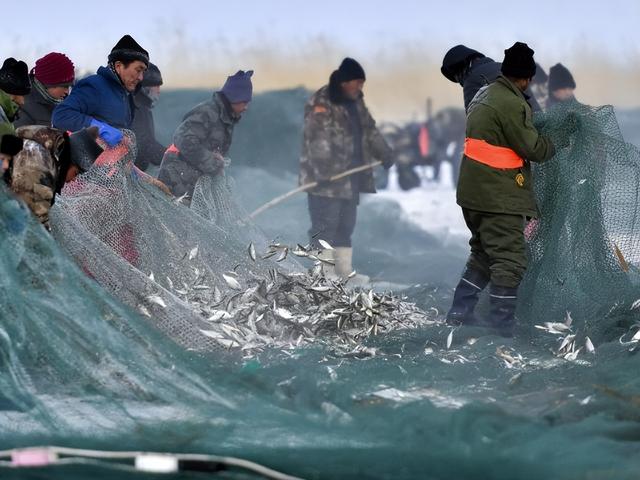 “离海最远”的新疆，这里的土地可以养海鲜，新疆是怎么做到的？