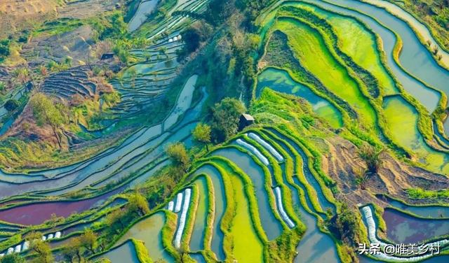 山区丘陵地带的农田，有两条出路，适合发展三大项目业态