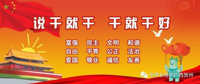 贺州荒地化身“聚宝盆”，每亩从零到将近万元收入！到底发生什么事？