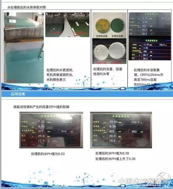 小分子水，能否重新激发水产养殖的活力