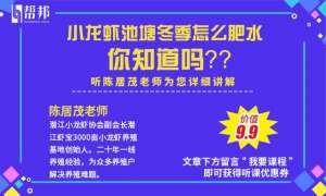 养殖龙虾几月份放养(小龙虾养殖，7成养殖户都不知道的投喂知识做好产量翻番)