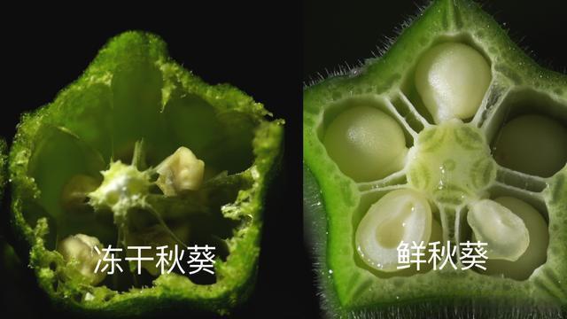 山东小伙种植秋葵创业，将秋葵做成冻干果蔬，年销售额达9000万