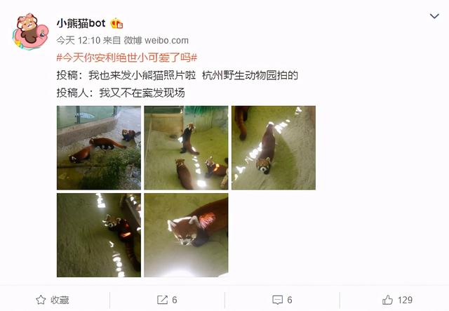 分不清小熊猫和小浣熊，导致了一场互联网“干脆面”之争