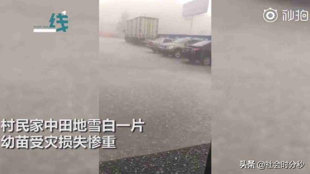 吉林永吉遇冰雹侵袭 有的地方只下冰粒不下雨“鹌鹑蛋”转眼铺满地