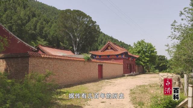 「永济百科」松林寺白皮松