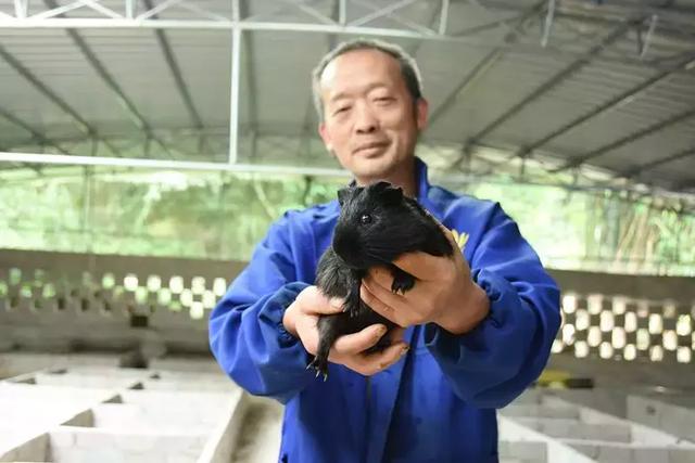 它药食两用原产于南美洲，余庆也有人养殖，并且······