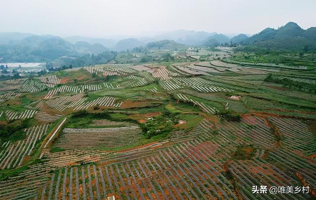 山区丘陵地带的农田，有两条出路，适合发展三大项目业态