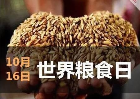 世界粮食日 你吃过这种从盐碱地里种植出来的红米吗？